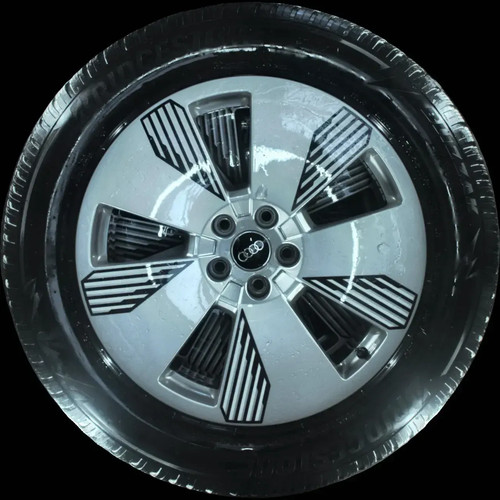 255 r19 111h - 255/55, winterreifen